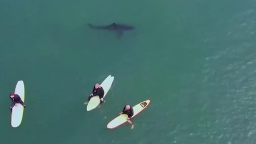 Popular videos from the past week you may have missed